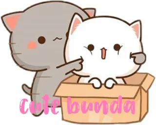 ➖ cute bunda cute, cats, animals, cartoon whatsapp sticker