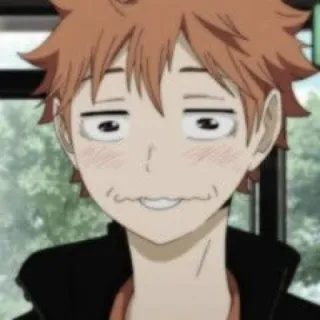 🏐 Hinata Shoyo Haikyuu!! Anime, Haikyuu, Hinata Shoyo, Cara graciosa, Manga telegram sticker