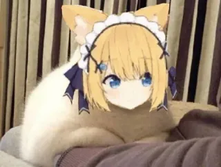 👀 gatto, anime, kawaii, carino, animale, animale domestico, divertente, cartone animato telegram sticker