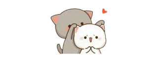 😯 gato, lindo, kawaii, sticker, animal whatsapp sticker