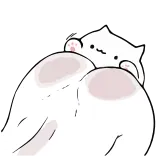 🥁 кот, мем, смешной, милый, белый кот whatsapp sticker