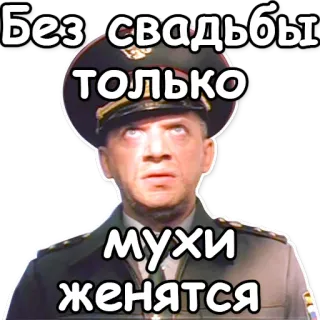 🕸 Без свадьбы только мухи женятся militair, russisch, bruiloft, vliegen, huwelijk telegram sticker