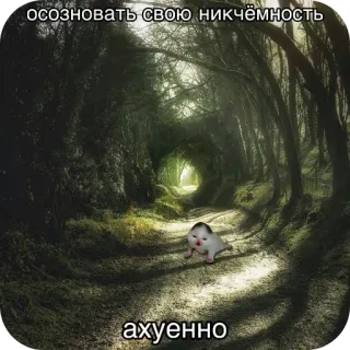 котята в депрессии telegram stickers