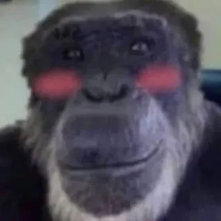 ☺️ Monkey telegram sticker