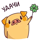 Свинцент @TgSticker telegram stickers