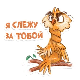 😳 Я СЛЕЖУ
ЗА ТОБОЙ gufo, che guarda, inquietante, adesivo, uccello, cartone animato telegram sticker