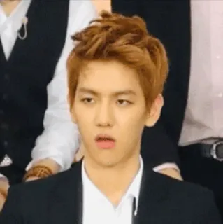🌻 백현, K팝, EXO, 가수, 연예인, 웃긴 얼굴 telegram sticker