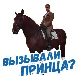 Холостяк @holostyaktnt telegram stickers