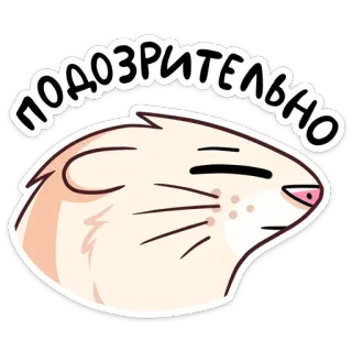 🤔 ПОДОЗРИТЕЛЬНО แฮมสเตอร์, น่าสงสัย, มีม, สัตว์, น่ารัก telegram sticker