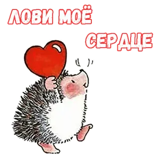 ❤️ ЛОВИ МОЁ СЕРДЦЕ hérisson, coeur, amour, mignon, animal, dessin animé telegram sticker