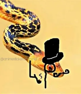 😎 schlange, zylinder, monokel, tier, reptil, süß whatsapp sticker