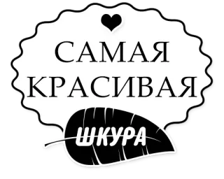 💕 САМАЯ КРАСИВАЯ
ШКУРА russo, adesivo, folha, coração, texto telegram sticker