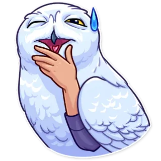 😅 coruja, pássaro, engraçado, animal telegram sticker
