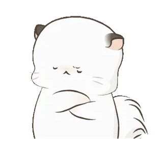 😤 kucing, imut, sedih, tidak bahagia, hewan, kawaii, stiker telegram sticker