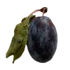 🍇