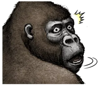 😵 gorila, macaco, animal, primata telegram sticker