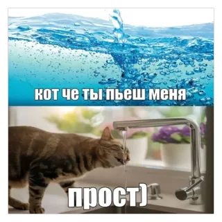 🫥 кот че ты пьешь меня
прост) kat, drinken, water, grappig whatsapp sticker