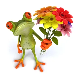 💐 rana, fiori, bouquet, animale, cartone animato, natura, primavera telegram sticker
