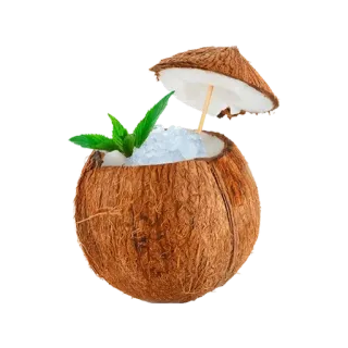🌟 Kokosnuss, Getränk, tropisch, Eis, Cocktail, Sommer, erfrischend telegram sticker
