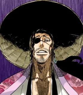 😬 Shunsui Kyoraku Bleach Anime, Manga, Personaggio, Shunsui Kyoraku, Bleach telegram sticker