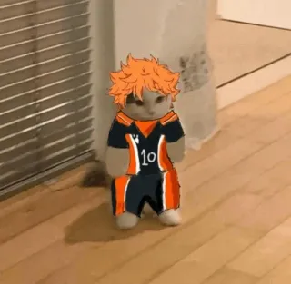 🐈 Hinata Shoyo Haikyuu!! haikyuu, hinata shoyo, anime, mangá, gato, meme, engraçado, fofo telegram sticker