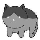 Spinning Cat | @Premium_Emojis_Telegram telegram emojis 😼