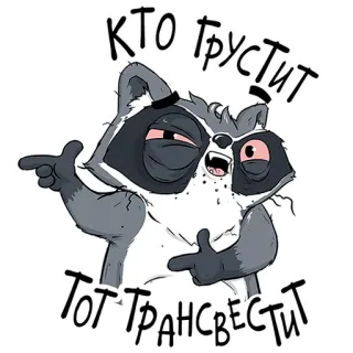 😉 Кто грустит Тот Трансвестит rakun, teks rusia, lucu, meme whatsapp sticker