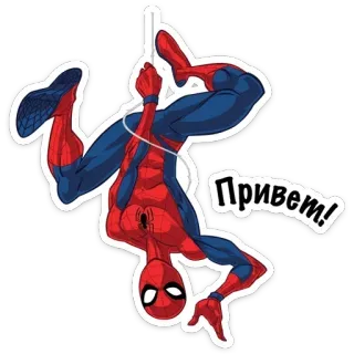 Spider @stickersb2b whatsapp stickers