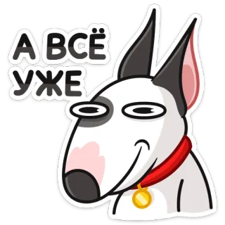 🤷‍♀️ А ВСЁ УЖЕ chien, bull terrier, drôle, mème, dessin animé whatsapp sticker