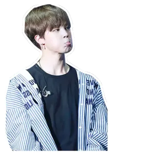 😖 Jimin kpop, jimin, bts, 歌手, バンド, 音楽 telegram sticker