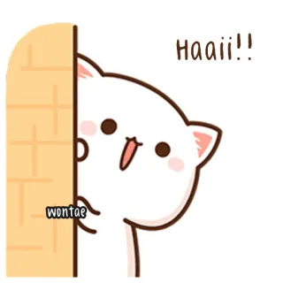 🍥 Haaii!!
wontae Katze, süß, Gruß, Tier, Cartoon telegram sticker