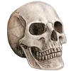 💀