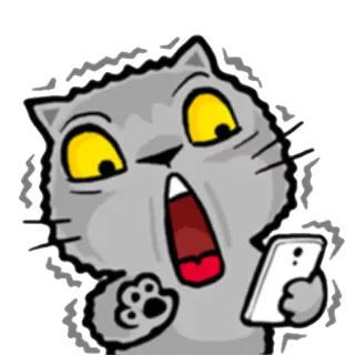 😲 Katze, Cartoon, schockiert, Handy, Tier telegram sticker