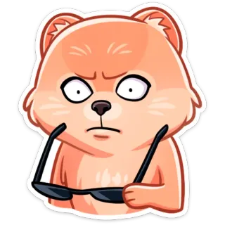 😳 곰, 만화, 동물, 안경, 표정, 귀여운 telegram sticker