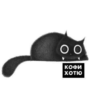 ☕️ КОФИ ХОТЮ cat, coffee, cute, animal, sticker, russian whatsapp sticker