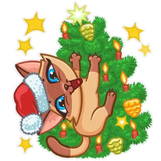 🎄 cat, christmas, santa hat, christmas tree, star telegram sticker