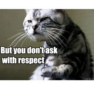 😡 But you don't ask with respect gato, meme, respeto, gracioso, animal telegram sticker