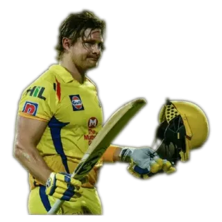 🤟 Cricket, Sport, Athlet, Schlagmann, Helm, Gelbes Trikot whatsapp sticker