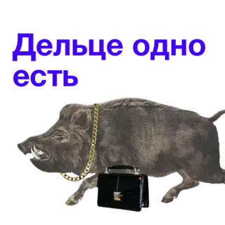 🎰 Дельце одно есть Jabalí, Negocios, Animal, Ruso, Cadena telegram sticker