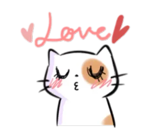 😚 Love amour, chat, baiser, coeurs, mignon, animal, autocollant telegram sticker