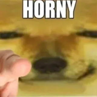 🫵 HORNY Meme, Doge, Pies, Napalony, Mem Internetowy telegram sticker
