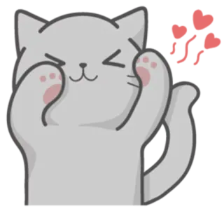 😆 kat, schattig, sticker, dier, kawaii telegram sticker