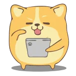 Corgi @IMG2D telegram stickers
