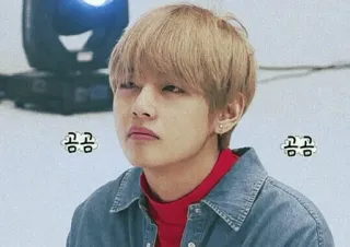 😒 Kim Taehyung 공공 kpop, 金泰亨, bts, 韩流, 名人, 偶像 telegram sticker