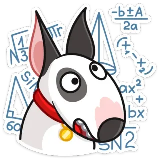 🤨 собака, математика, уравнения, животное, наклейка, бультерьер whatsapp sticker