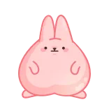 😳 STFU bunny, cute, sticker, offensive, STFU, slang telegram sticker