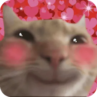 🌟 cat telegram sticker