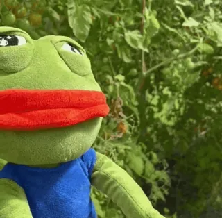 😦 Pepe the Frog Pepe, o Sapo, Meme, Meme da internet, Sapo, Sapo de desenho animado whatsapp sticker
