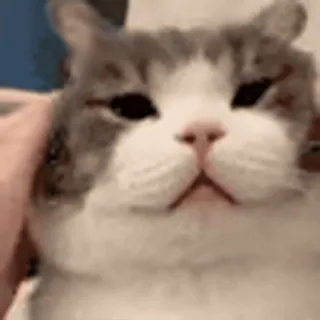 😣