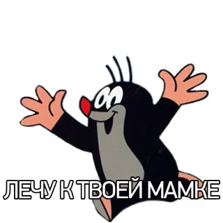 🤰 ЛЕЧУ К ТВОЕЙ МАМКЕ mol, cartoon, vliegend, aanstootgevend telegram sticker